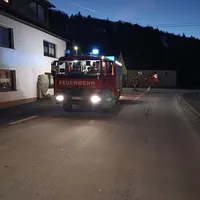 #3 THL 1 Sonstiges- Hubschrauberlandung Thalheim nach Heldmannsberg 13.01.2025 LF .jpg