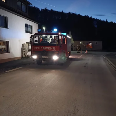 #3 THL 1 Sonstiges- Hubschrauberlandung Thalheim nach Heldmannsberg 13.01.2025 LF .jpg